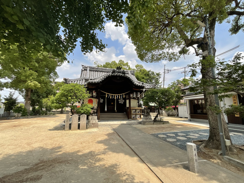 まいど13号(5年目突入まいど米プレゼント企画)