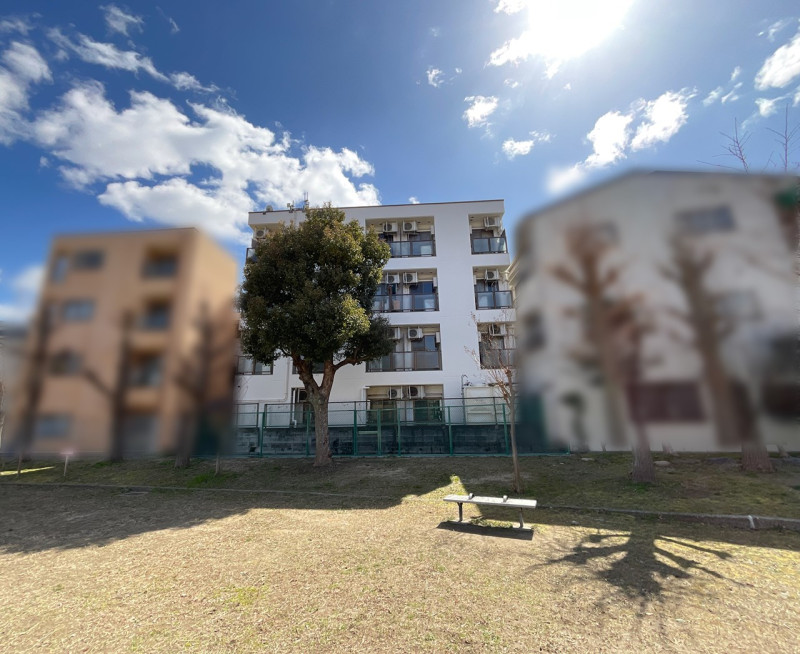 まいど10号(X応援企画第5弾プレゼント付き)